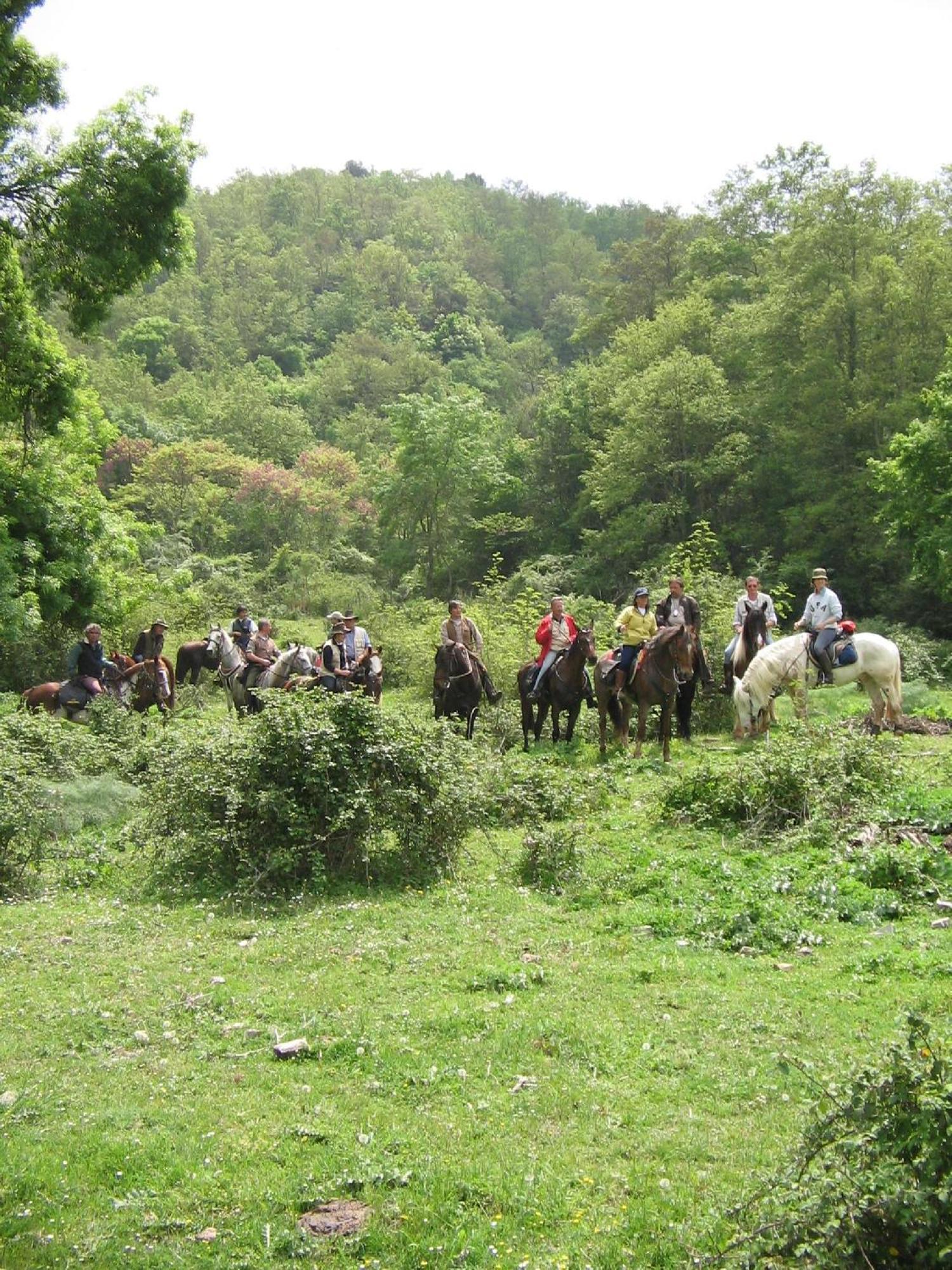 Agriturismo Casale Bonaparte Cellere Εξωτερικό φωτογραφία