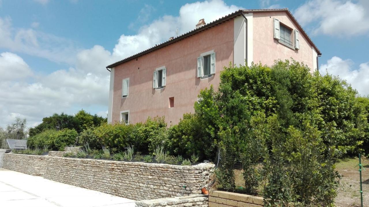 Agriturismo Casale Bonaparte Cellere Εξωτερικό φωτογραφία